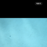 [어케생각해] 풀<b>빌라</b> 사건