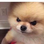 <b>콧물</b>이가 줄줄 난다