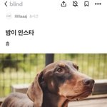 방탄 멤버 <b>욕</b> <b>한</b> 거 뭐냐 ㅋㅋㅋㅋㅋ