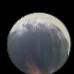 [19] 뷔 <b>닮음</b>