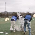 엔하이픈은 항상 <b>맏형</b>이 이러고 있음