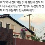 화장 뭐가 문제일까..