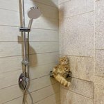 화… 낼려다 <b>착한</b> 내가