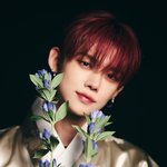 연준 <b>추석사진</b>