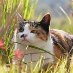 [드루와] 술 맛없다는데 인생의 <b>쓴맛</b>ㅇㅈㄹ 하는거 개짜증