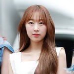 우주소녀 사실<b>상망</b>함 해체 발표 할듯