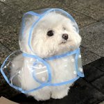몬생기고 급떨어지는게