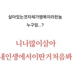 <b>반수</b>하는데너무우울핑상태임ㅜ