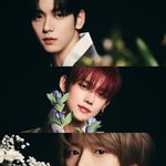 [<b>TXT</b>] 한복 다른거에 비해 돈 많이 안들인거같은데