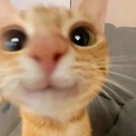 [드루와] 얘들아 내가 재밌게 본 영화 리스트 공유할게