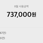 [댓글부탁해] 니네한달에 <b>얼마쯤</b> 쓰냐ㅜ