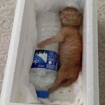 아구 <b>시원</b>타 ~