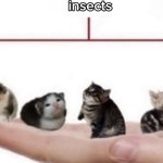 [에라이] <b>뻘레들</b>아 내 귀여운 <b>뻘</b>레