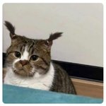 [드루와] 얘들아 들어와봐