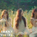 피프티 '<b>SOS</b>'어때?