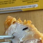 <b>벌레</b> 사진 있음) 자담치킨에서 나온 바퀴<b>벌레</b> 제가 블랙 컨슈머인가요...