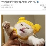 농어촌 기균 <b>통합</b>수시 써본 사람 있어?