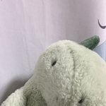 재종에 인형들고가는거 컨셉충같고에바임?