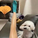 그냥 아이돌 보정 알<b>바나</b> 하고싶음