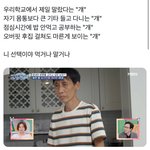 트위터 프로아나들 <b>추구</b>미