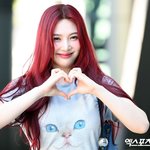 조이, 새 둥지 찾을까…<b>SM</b> "재계약 논의 중" [공식입장]