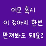<b>이모</b>