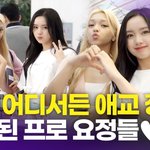 젤리당카-<b>엘리시</b>아, 언제 어디서든 준비된 애교 요정들(공항패션)