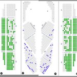 [모두드루와] 키오프 텅텅콘이네