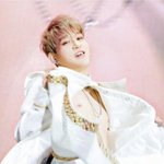 대학라인 앙딱정