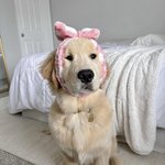 말 <b>안들</b>을꺼야