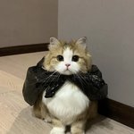 <b>양치</b>하고