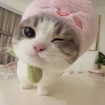 <b>개말라</b>인간이랑 난쟁이 빼고