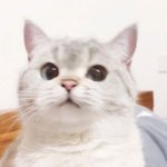 <b>엔돌핀</b>이 필요해