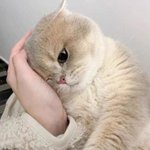 <b>안정</b>이