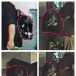 [개념없다] 가사도우미 절도