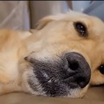 우리아빠 판<b>남이</b>였음