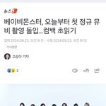 얘들아 베몬 컴백한다