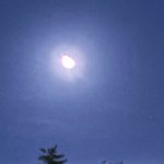 [댓글부탁해] 오늘 <b>베텔</b>기우스도 보임!!