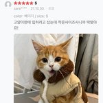 [댓글부탁해] 나 고2인데 <b>정시</b>로 돌리는거 어케생각함