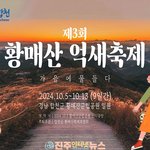 바람에 파도치듯 출렁이는 은빛억새 장관! '제3회 황매산 억새<b>축제</b>'