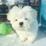 너네 <b>교실</b>에 에어컨 틀음?
