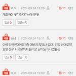 해찬팬들 <b>정우</b> 역바이럴 뛰는거 맞네