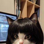 [드루와] 20<b>키</b>로빼면 많이 차이남??