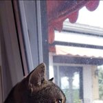 눈물 한<b>방울</b>