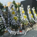 뉴진스 최후통첩 D-<b>Day</b>, 팬덤 버니즈 뿔났다…하이브vs민희진...