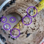 10대 딸,아들과 엄마가 마시던 유명 카페 음료서 이물질