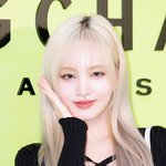 [드루와] [현장포토] "미모꽃이 피었네"...리즈, 금발의...