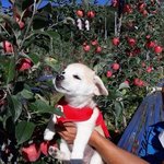 나 공부 ㅈㄴ <b>느림</b>?