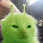 공부는 걍 ㅈㄴ 고통임