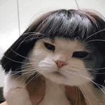 퇴폐<b>미란</b>